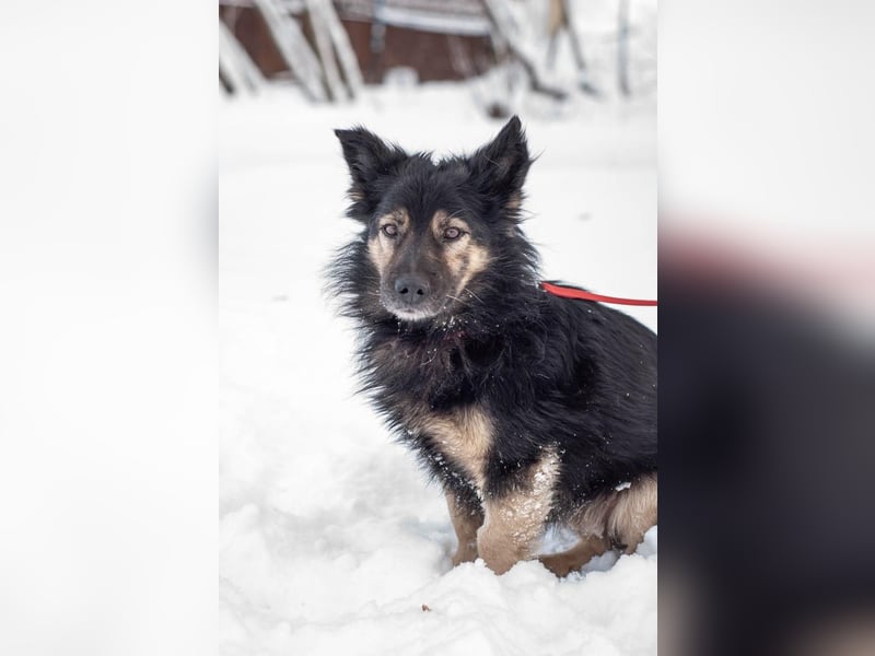 Tarzan - Wundervoller Kumpel (Ukraine)