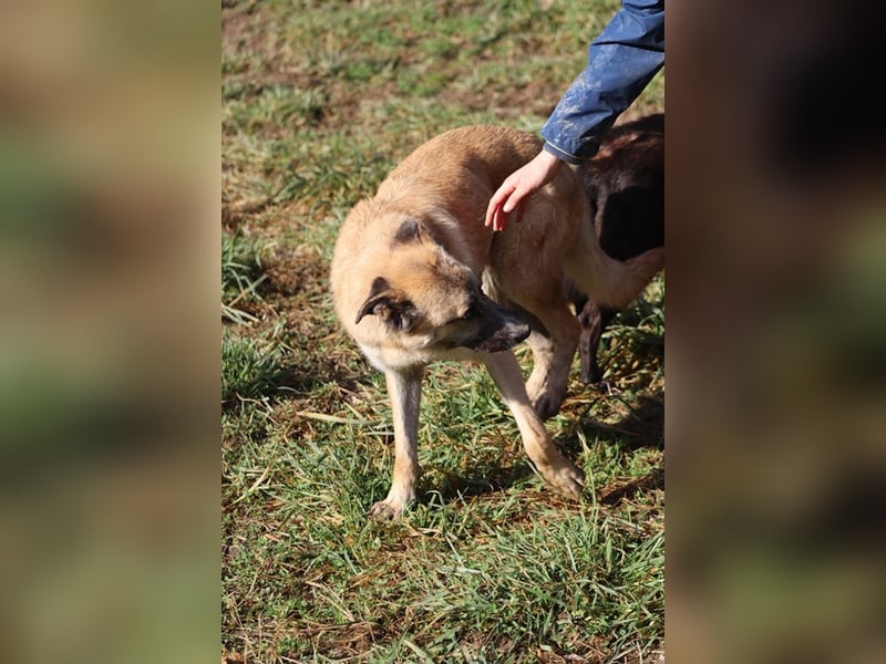 Life - Life will mehr vom Leben - und das zeigt er deutlich!