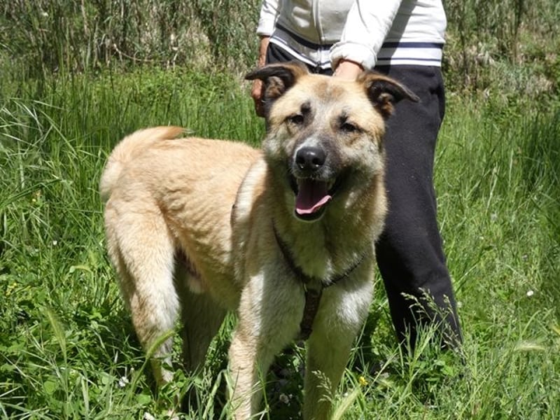 Life - Life will mehr vom Leben - und das zeigt er deutlich!
