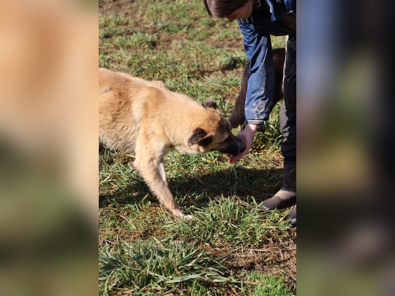 Life - Life will mehr vom Leben - und das zeigt er deutlich!