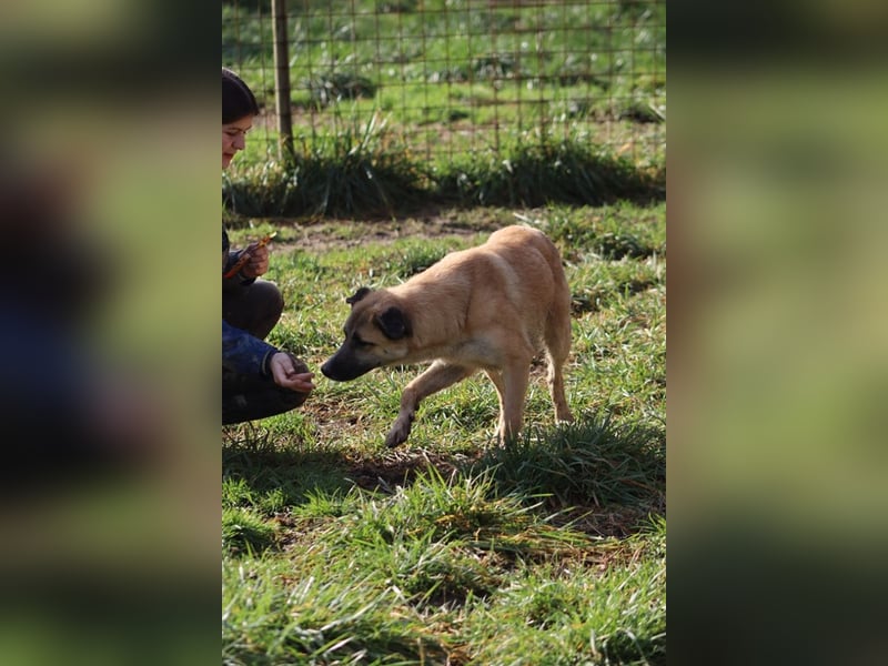 Life - Life will mehr vom Leben - und das zeigt er deutlich!