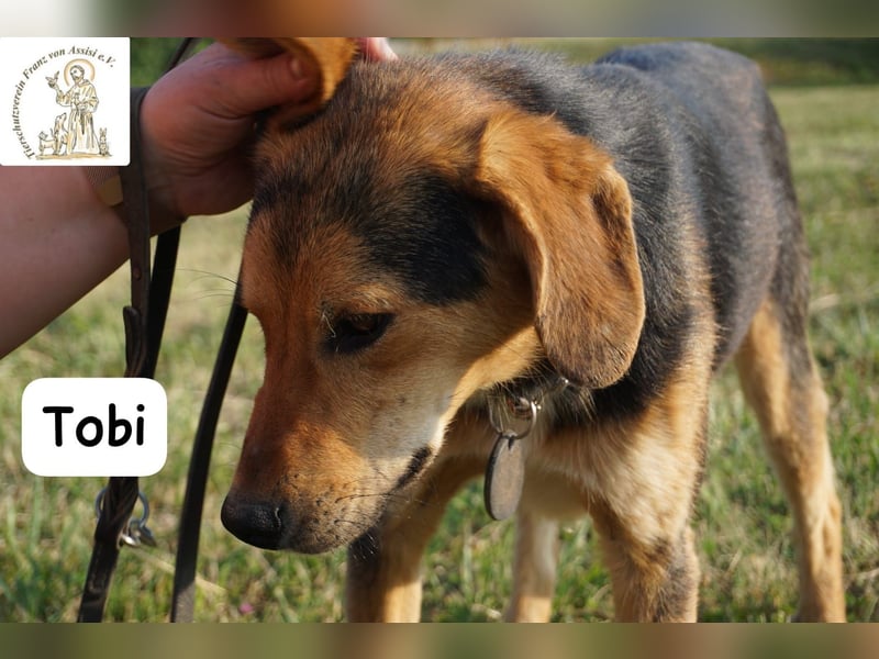 Tobi – Ready to Rock!