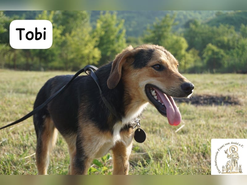 Tobi – Ready to Rock!