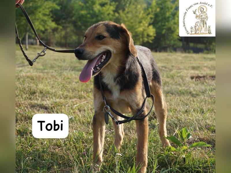 Tobi – Ready to Rock!