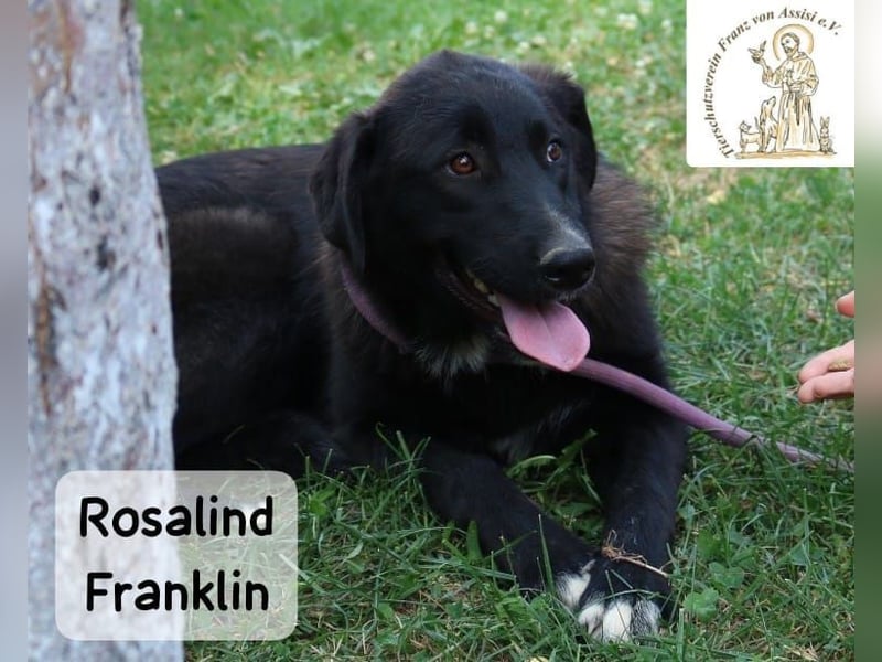 Rosalind Franklin – Ihre Welt darf jetzt größer werden!