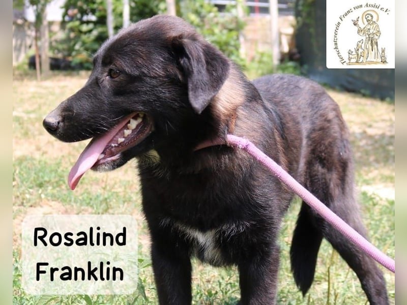 Rosalind Franklin – Ihre Welt darf jetzt größer werden!