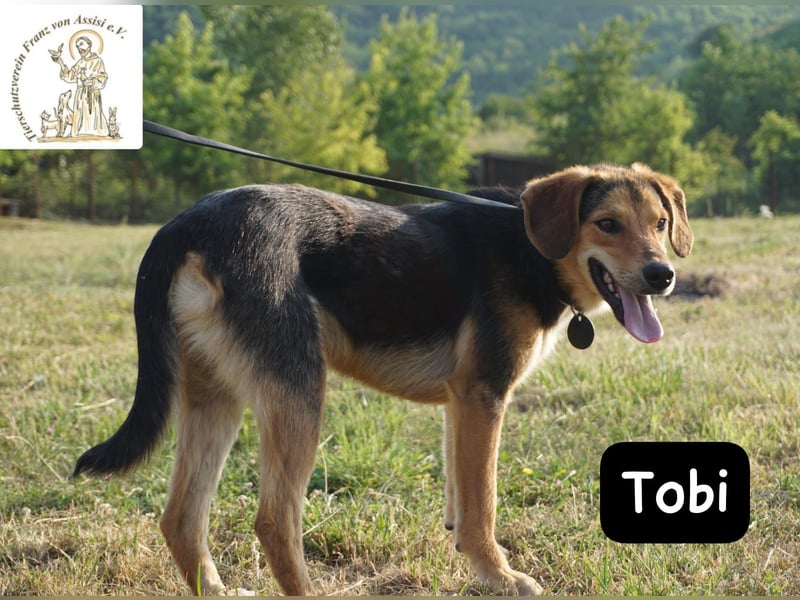 Tobi – Ready to Rock!