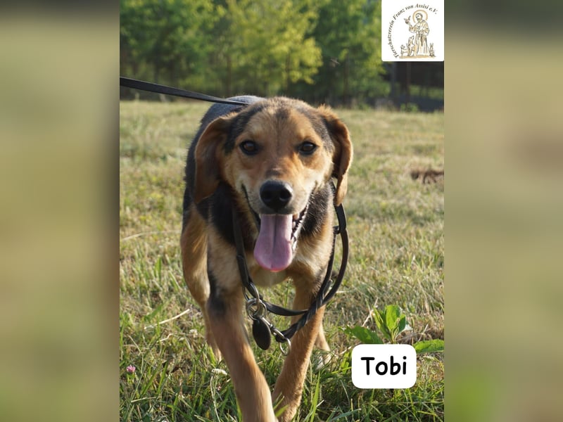 Tobi – Ready to Rock!