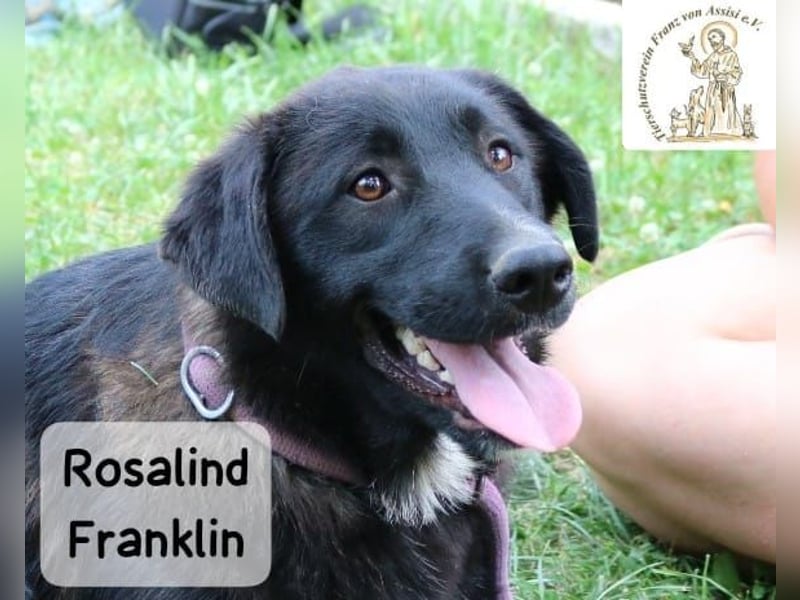 Rosalind Franklin – Ihre Welt darf jetzt größer werden!
