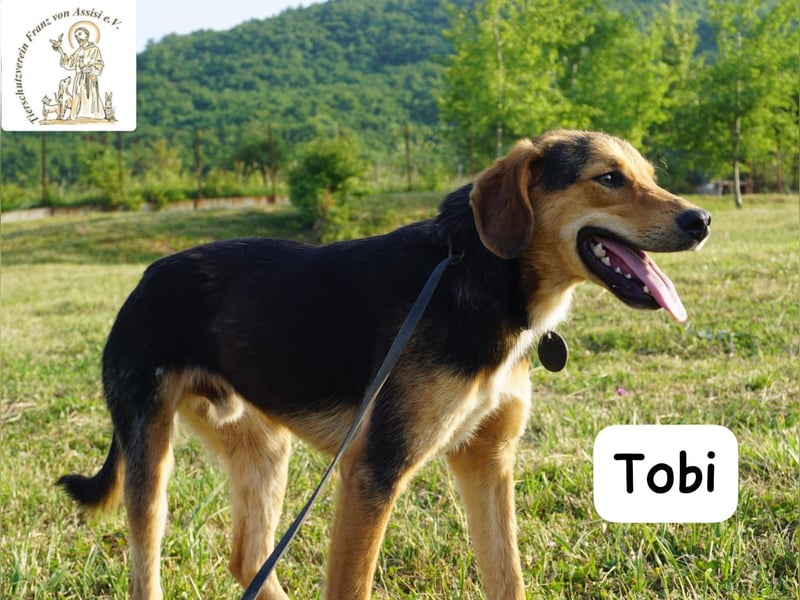 Tobi – Ready to Rock!