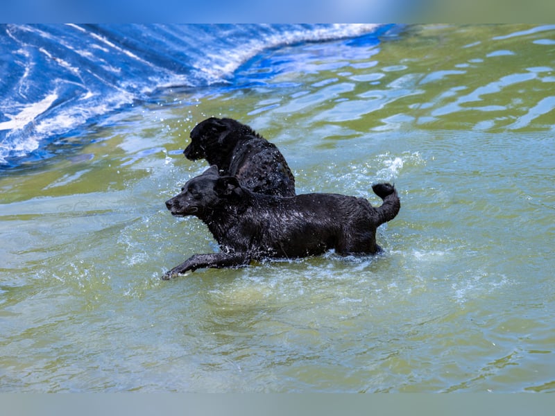 Die liebe Lujzi wartet schon sooo lange!