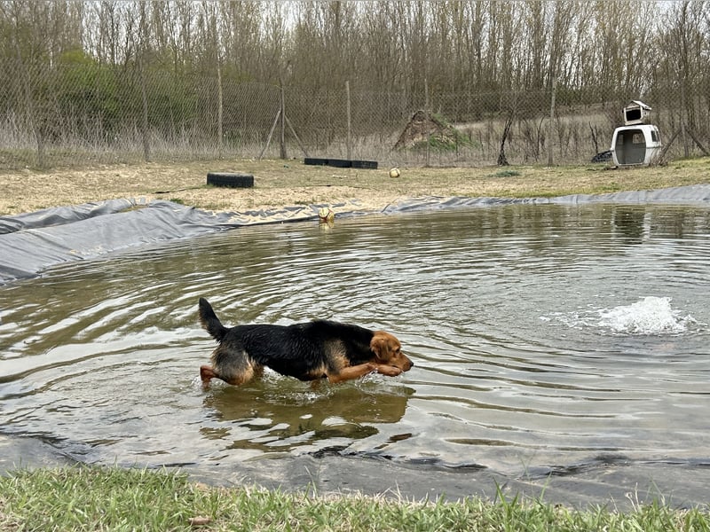 Felix sucht eine Familie!