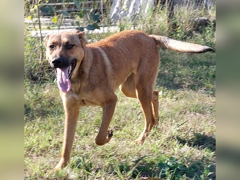 Lola! Wer möchte ihr die Welt zeigen?