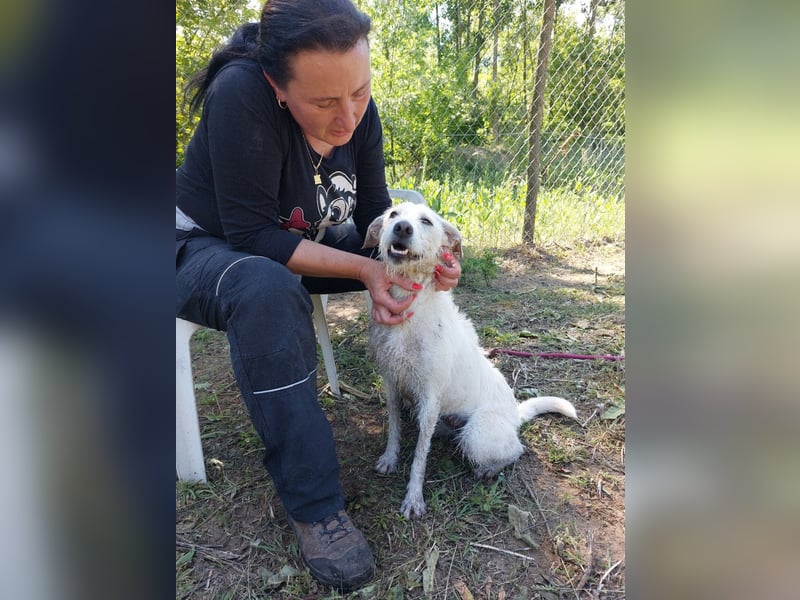 Unsere hübsche Luna wûnscht sich ein Zuhause.