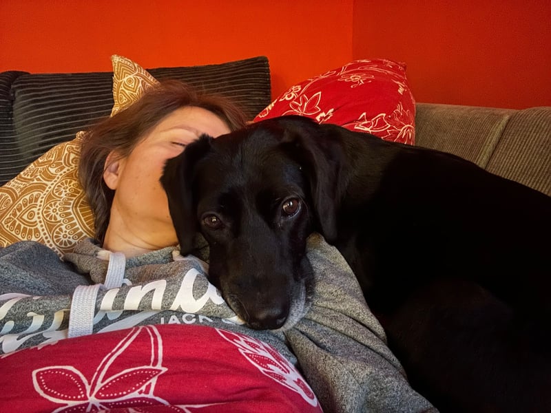 Gisi (auf Pflegestelle in Ibbenbüren)!