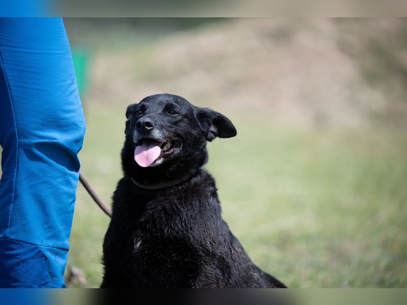Die liebe Lujzi wartet schon sooo lange!