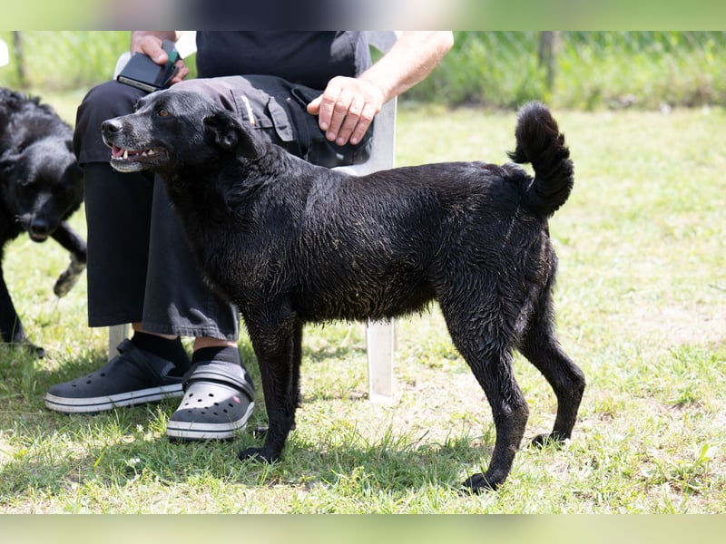Die liebe Lujzi wartet schon sooo lange!