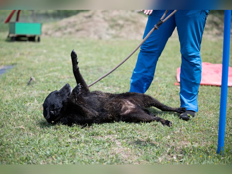 Die liebe Lujzi wartet schon sooo lange!