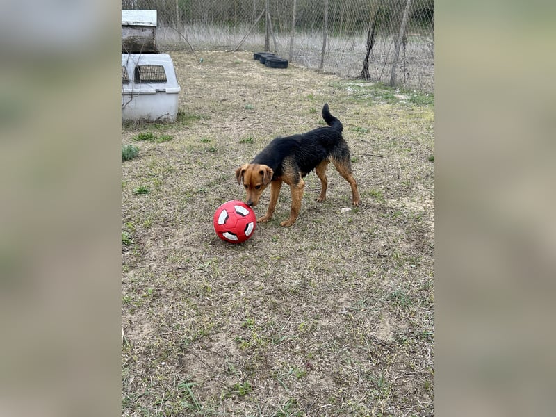 Felix sucht eine Familie!