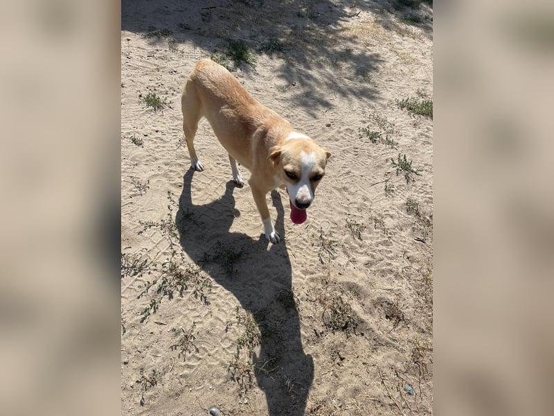 Ilonka möchte die Welt entdecken.