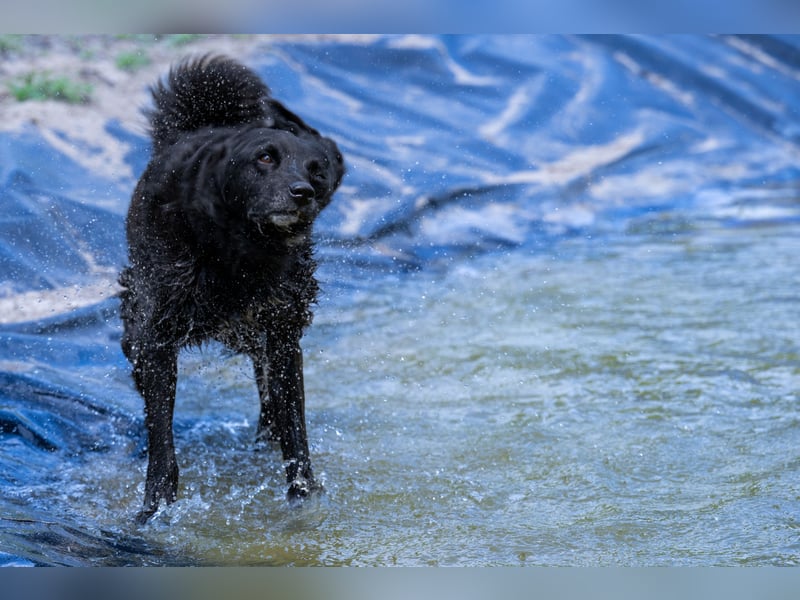 Die liebe Lujzi wartet schon sooo lange!
