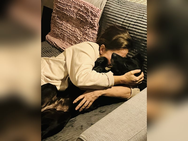 Gisi (auf Pflegestelle in Ibbenbüren)!