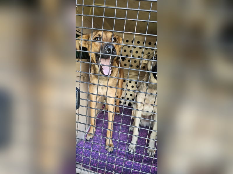 Lola! Wer möchte ihr die Welt zeigen?