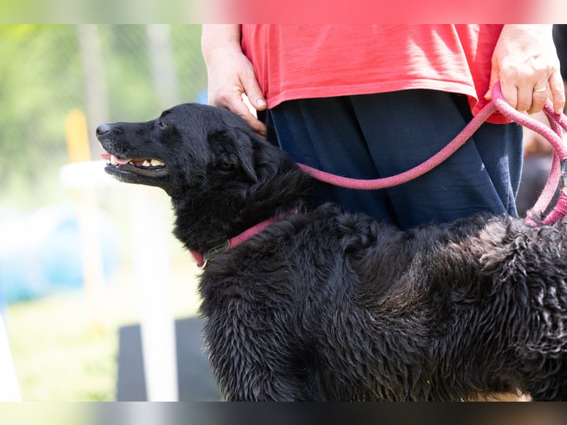 Die liebe Lujzi wartet schon sooo lange!