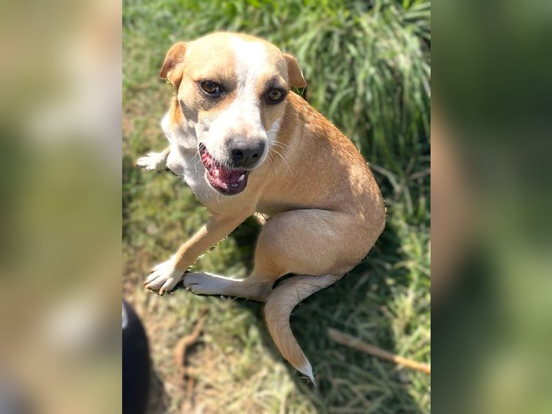 Ilonka möchte die Welt entdecken.