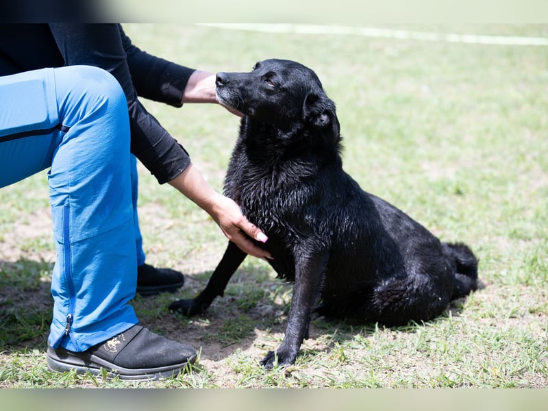 Die liebe Lujzi wartet schon sooo lange!