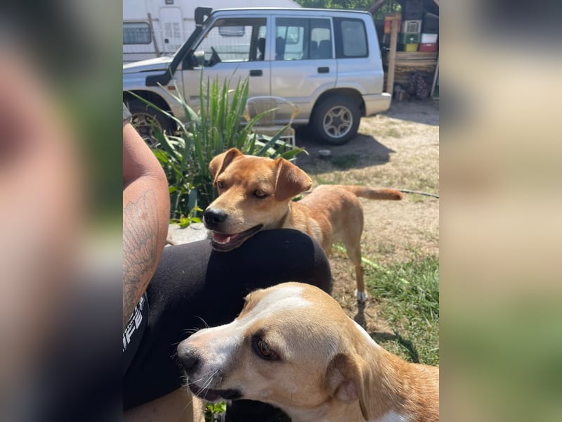 Ilonka möchte die Welt entdecken.