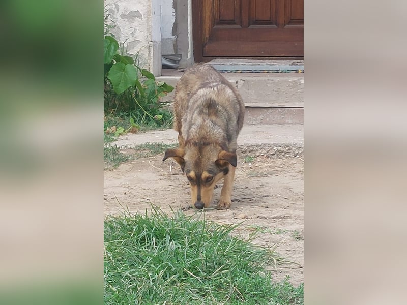 Betty wünscht sich eine Familie