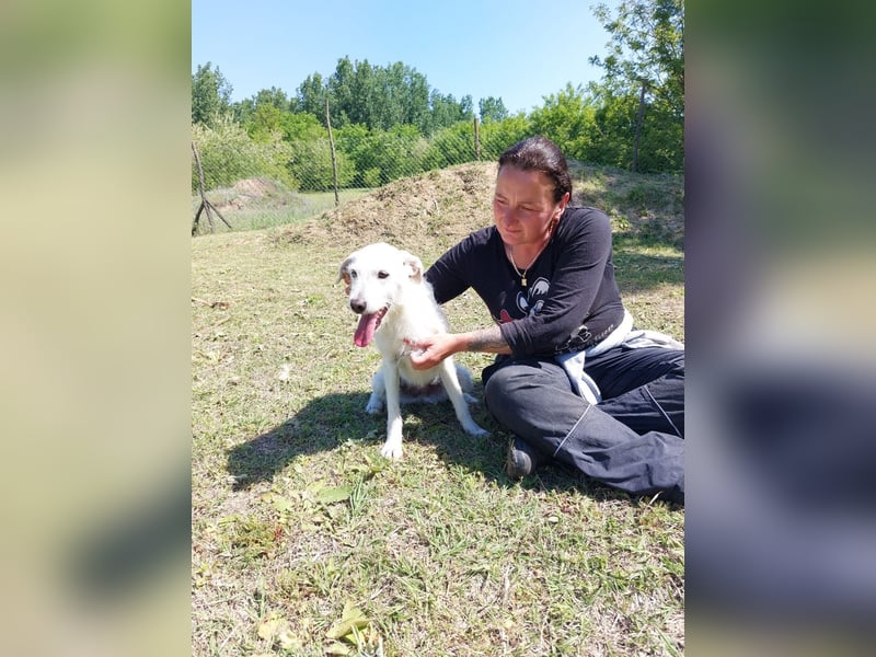 Unsere hübsche Luna wûnscht sich ein Zuhause.