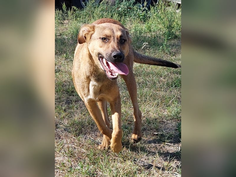 Lola! Wer möchte ihr die Welt zeigen?