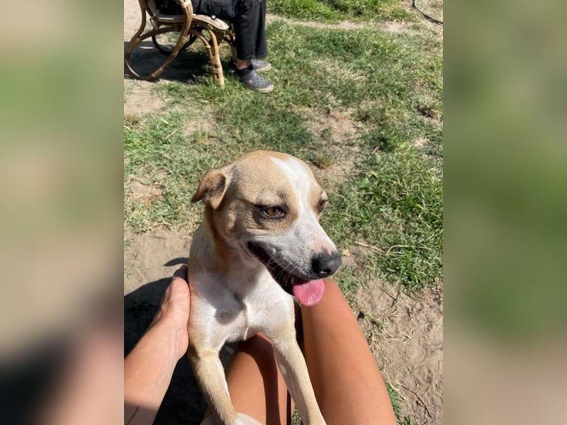 Ilonka möchte die Welt entdecken.