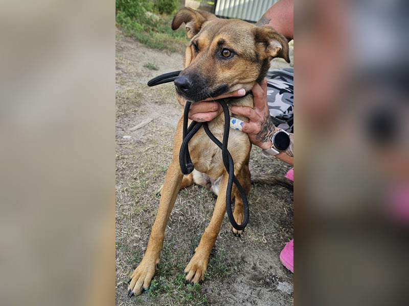 Lola! Wer möchte ihr die Welt zeigen?