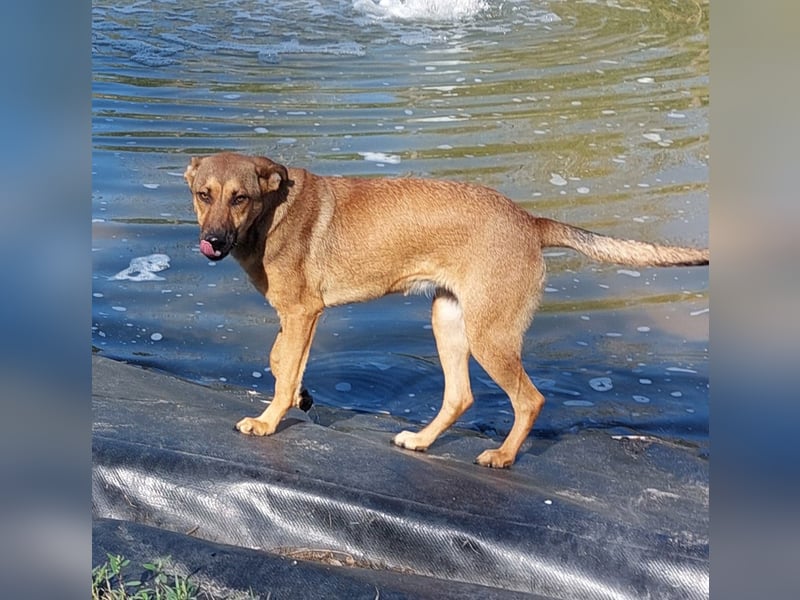 Lola! Wer möchte ihr die Welt zeigen?