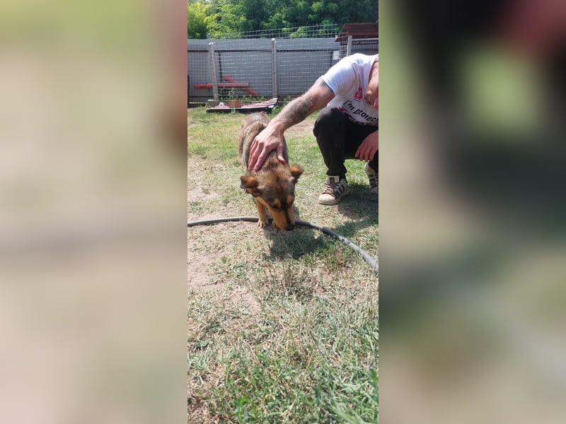 Betty wünscht sich eine Familie