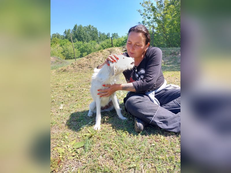 Unsere hübsche Luna wûnscht sich ein Zuhause.