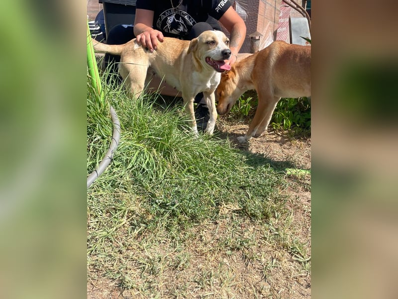 Ilonka möchte die Welt entdecken.