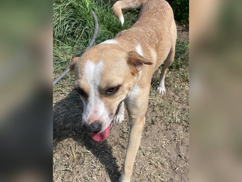 Ilonka möchte die Welt entdecken.