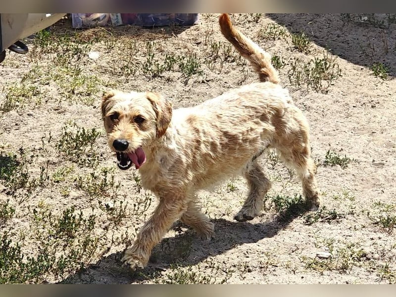 Liebevoller Bumer, 2 Jahre, 32 cm