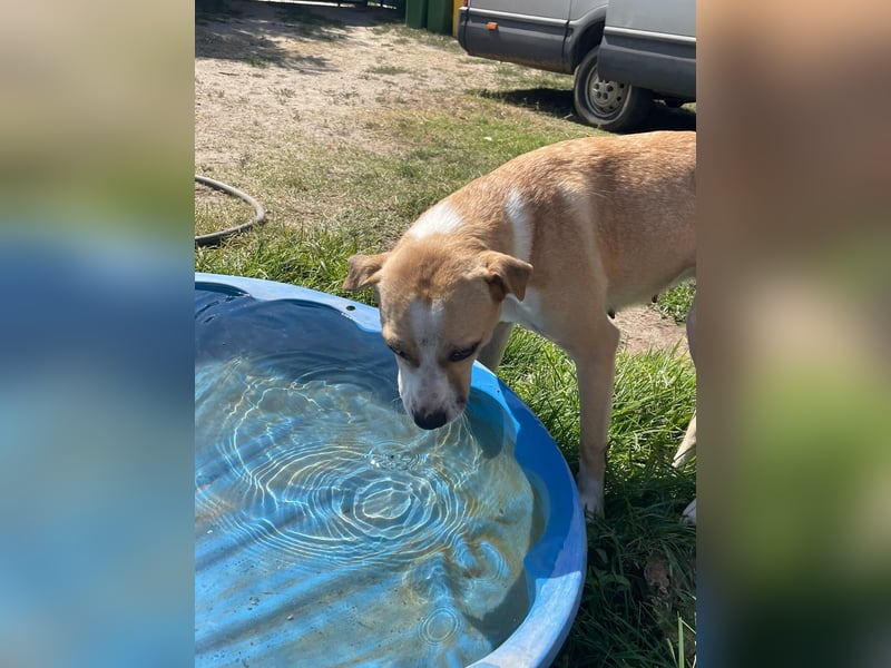 Ilonka möchte die Welt entdecken.