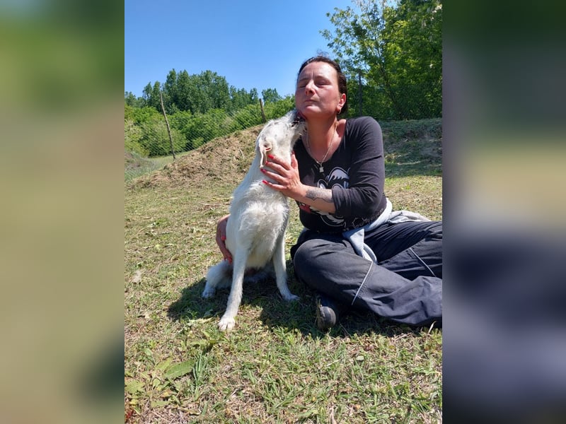 Unsere hübsche Luna wûnscht sich ein Zuhause.