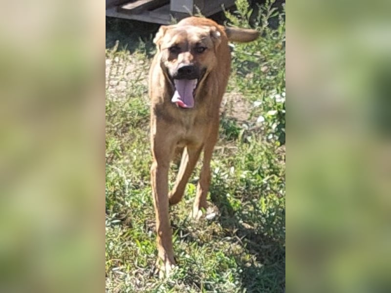 Lola! Wer möchte ihr die Welt zeigen?