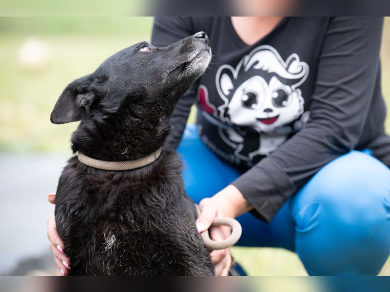 Die liebe Lujzi wartet schon sooo lange!