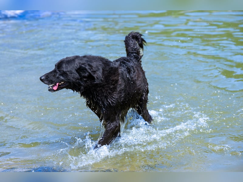 Die liebe Lujzi wartet schon sooo lange!