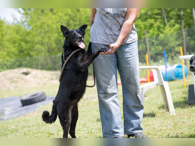 Die liebe Lujzi wartet schon sooo lange!