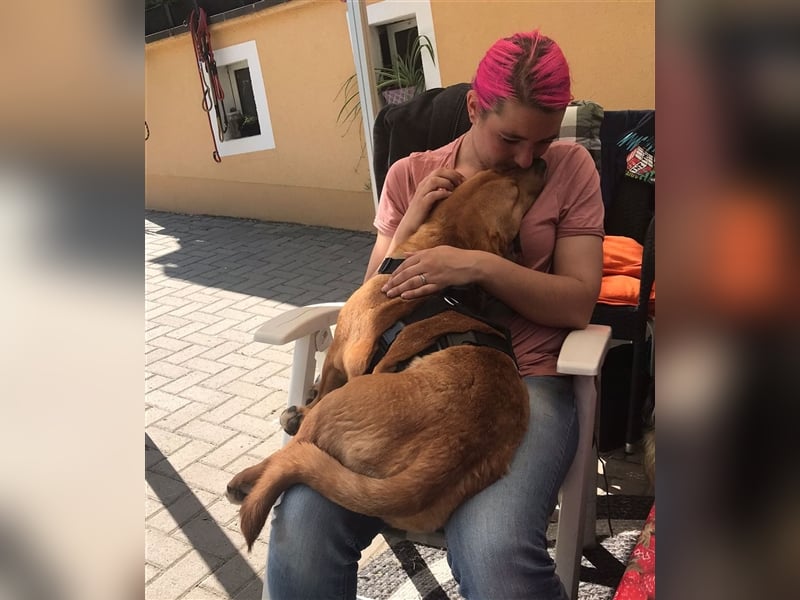 ANDY, Mix, geb. 7/2022