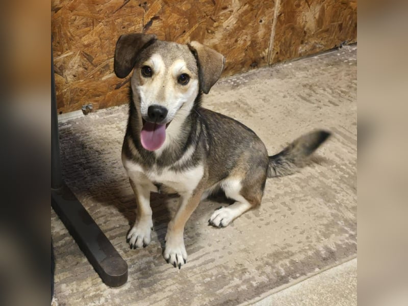 Popes - wo darf ich Zuhause sein?